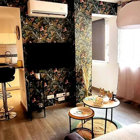 Apartment Magnifique T2 Ajaccio (Corsica)